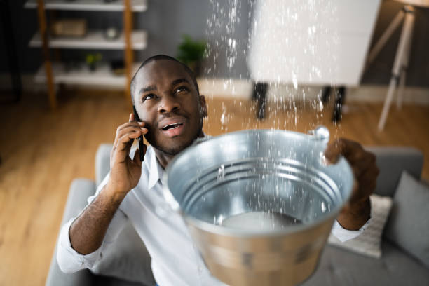 Best Ceiling water damage repair  in Trainer, PA