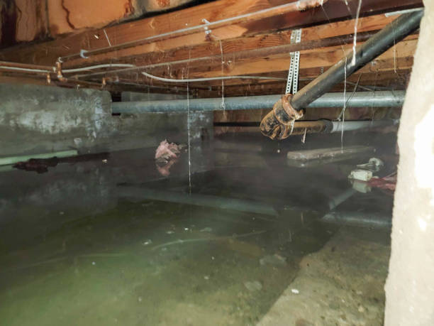 Best 24/7 water damage repair  in Trainer, PA
