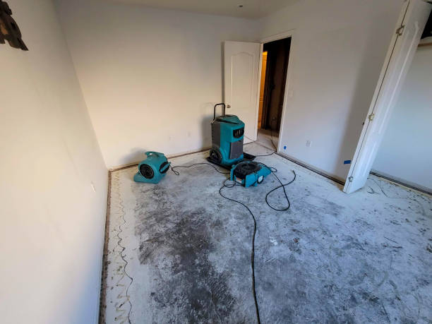 Best 24-hour water damage restoration  in Trainer, PA