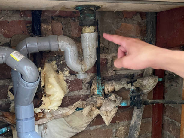 Best Commercial water damage restoration  in Trainer, PA
