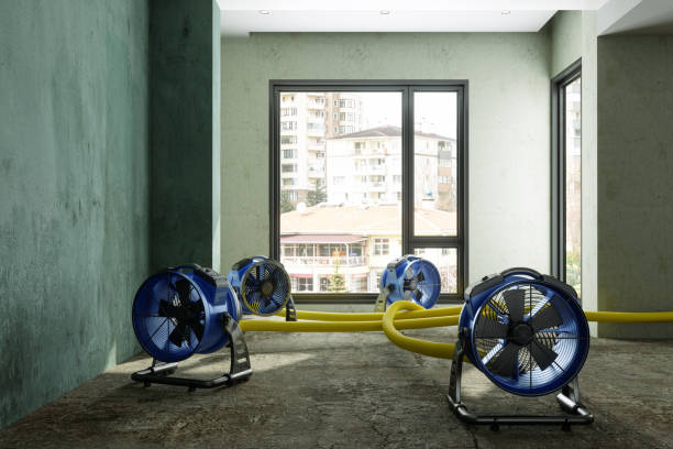 Best Emergency water damage restoration  in Trainer, PA