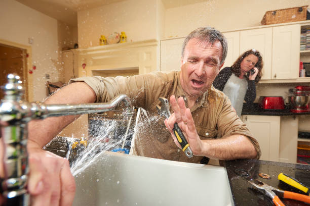 Best Basement water damage restoration  in Trainer, PA